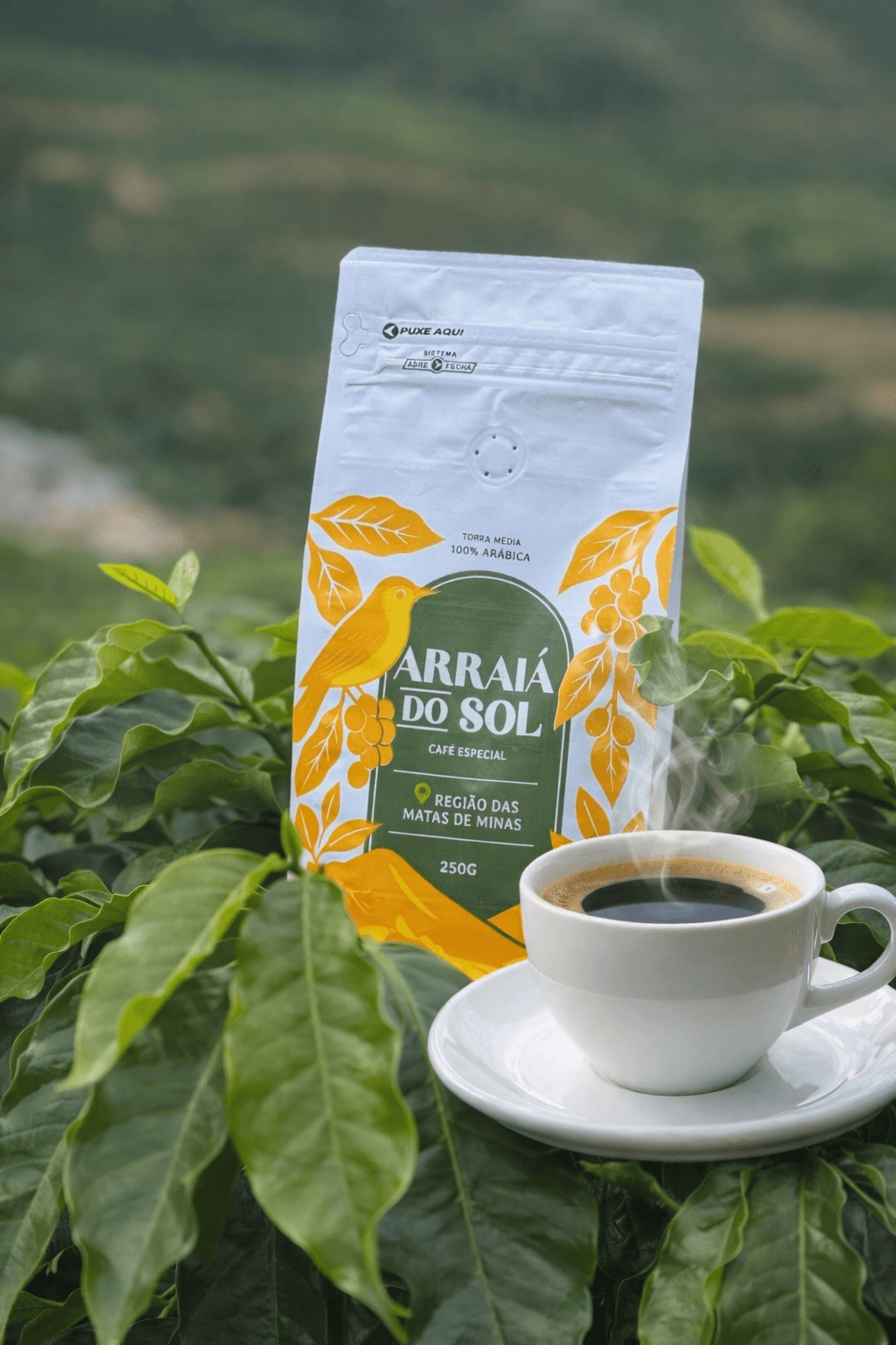 Café Especial Arraiá do Sol na Lavoura